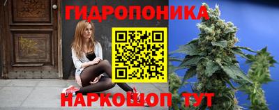 шишки Ливны