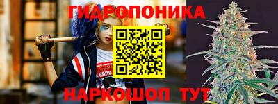 шишки Ливны