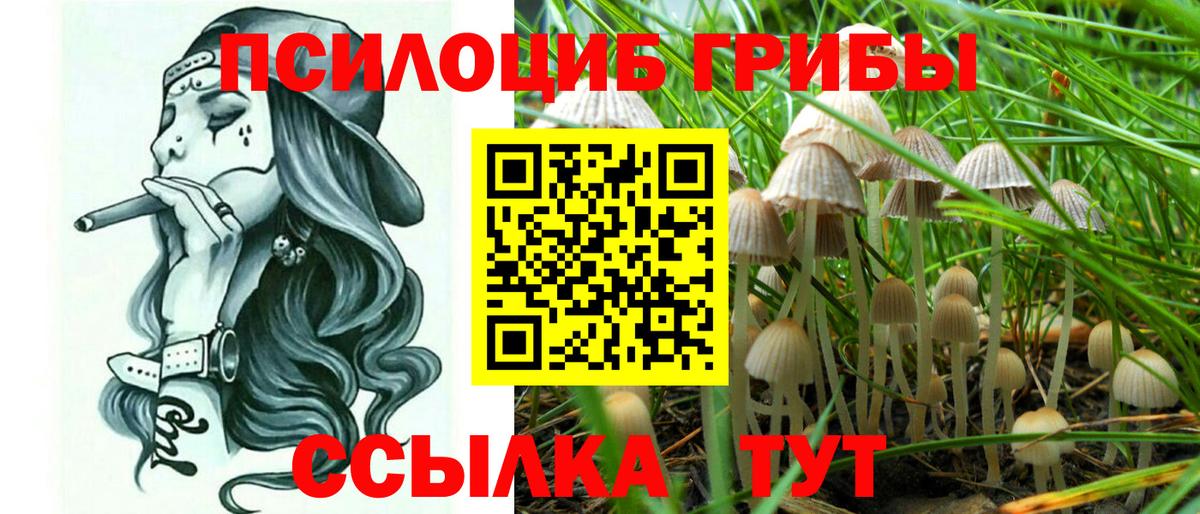 Псилоцибиновые грибы мухоморы  Псилоцибиновые грибы Magic Shrooms  Чебаркуль  Вход с VPN 